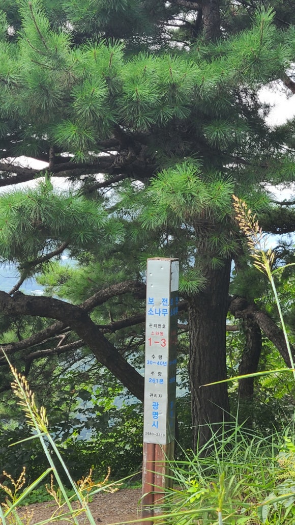 가학산 정상 전망대 이미지