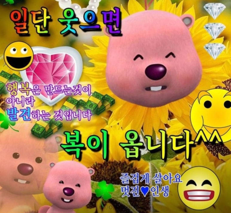 안녕 경주야 이미지