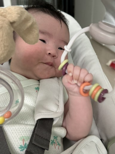 닥스베이비 이미지