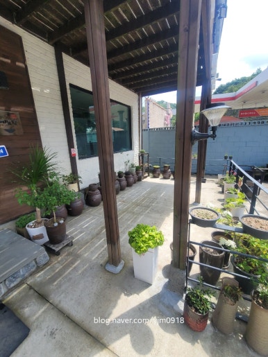 박경리메밀향 이미지