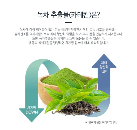 티그린 이미지