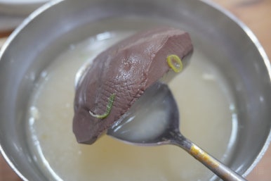 가비빈 이미지