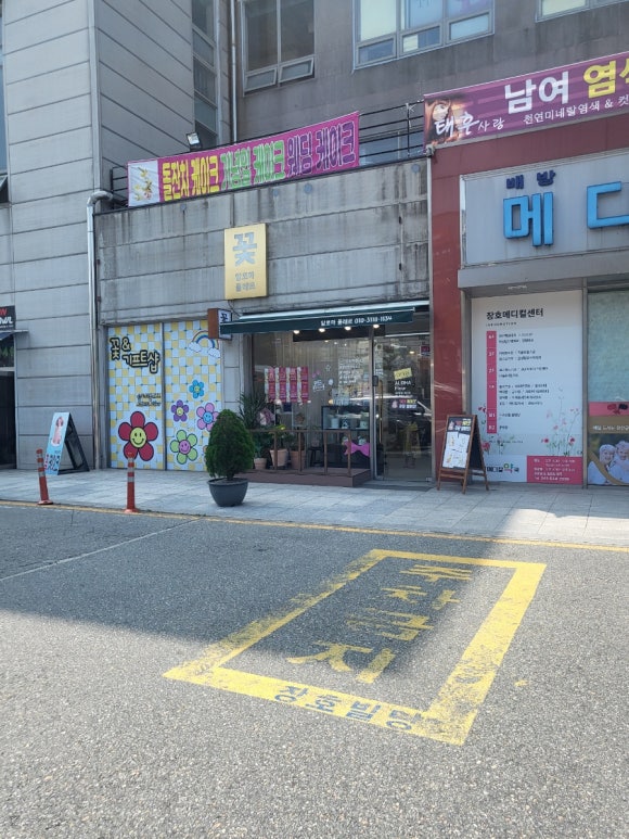 알로하플레르 이미지