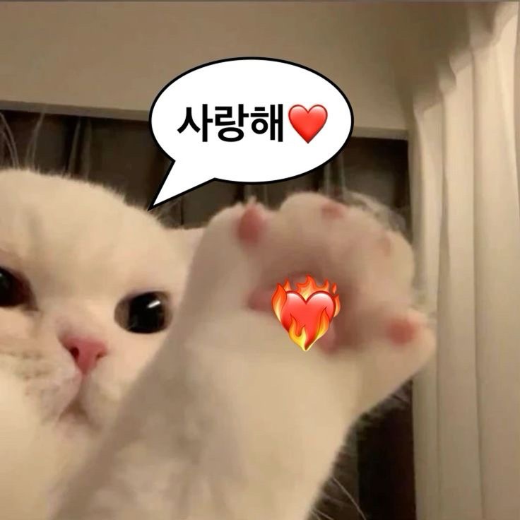 갈리단길＃ 이미지