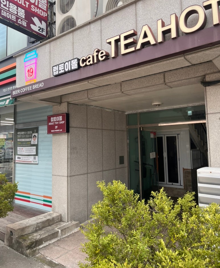 티핫 이미지
