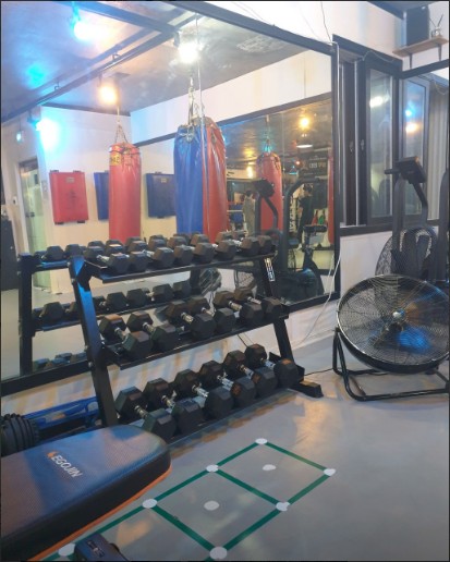 스타복싱총본관 이미지