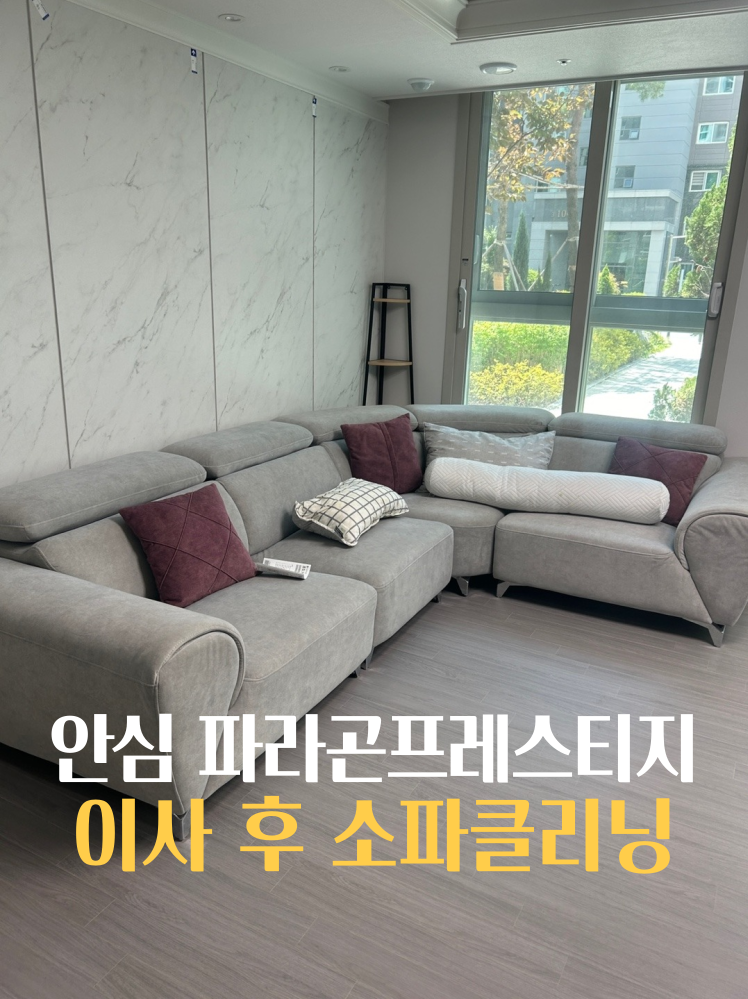 파라곤클리닝 이미지