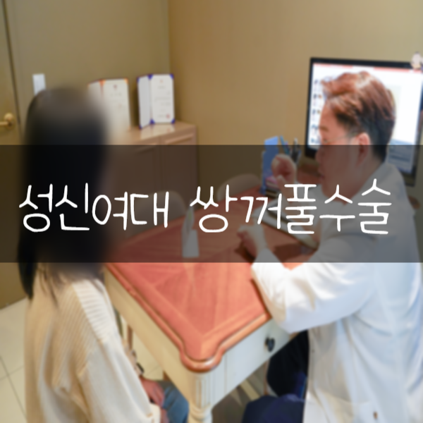 메이저성형외과 이미지