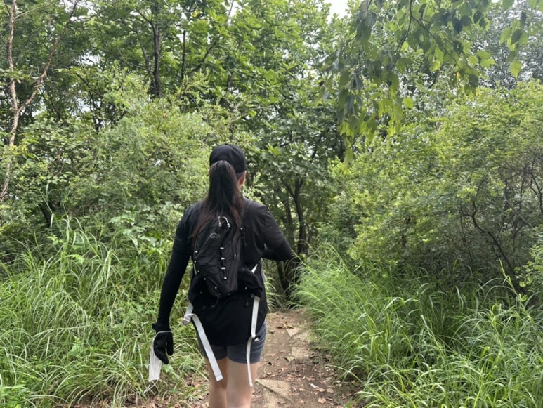 노고산의 바위들 이미지