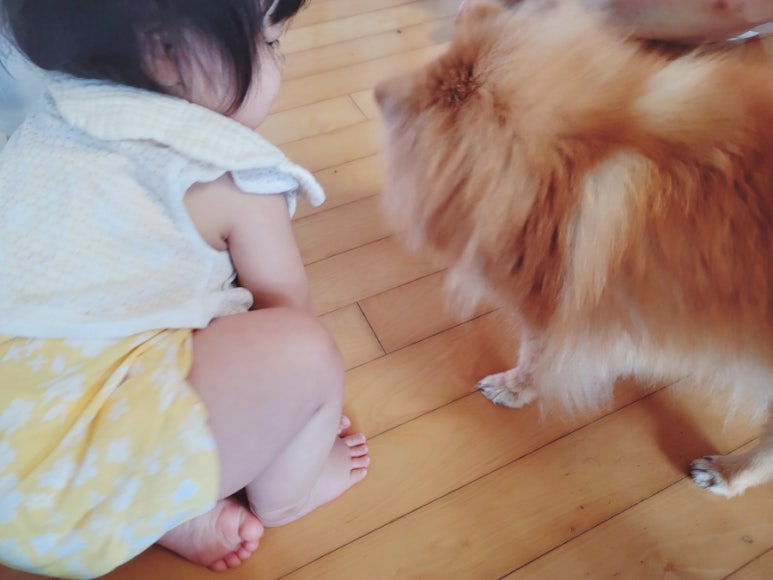 한울주유소 이미지
