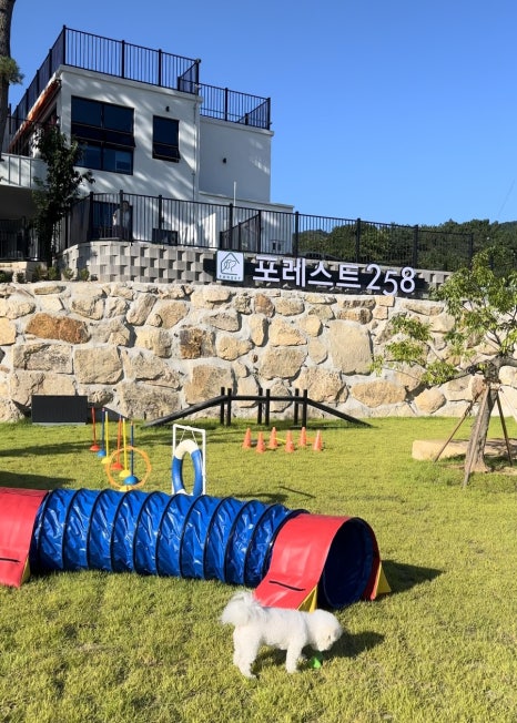 포레스트258/포레스트258펜션 이미지