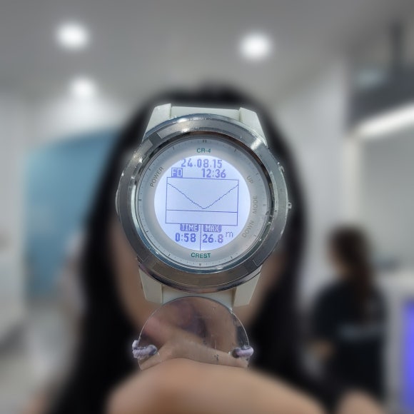 룰루버디 이미지