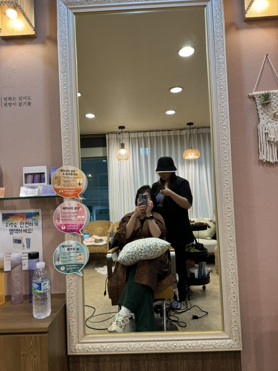 살롱드웨일 이미지