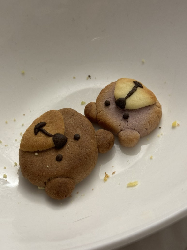 토이쿠키 이미지