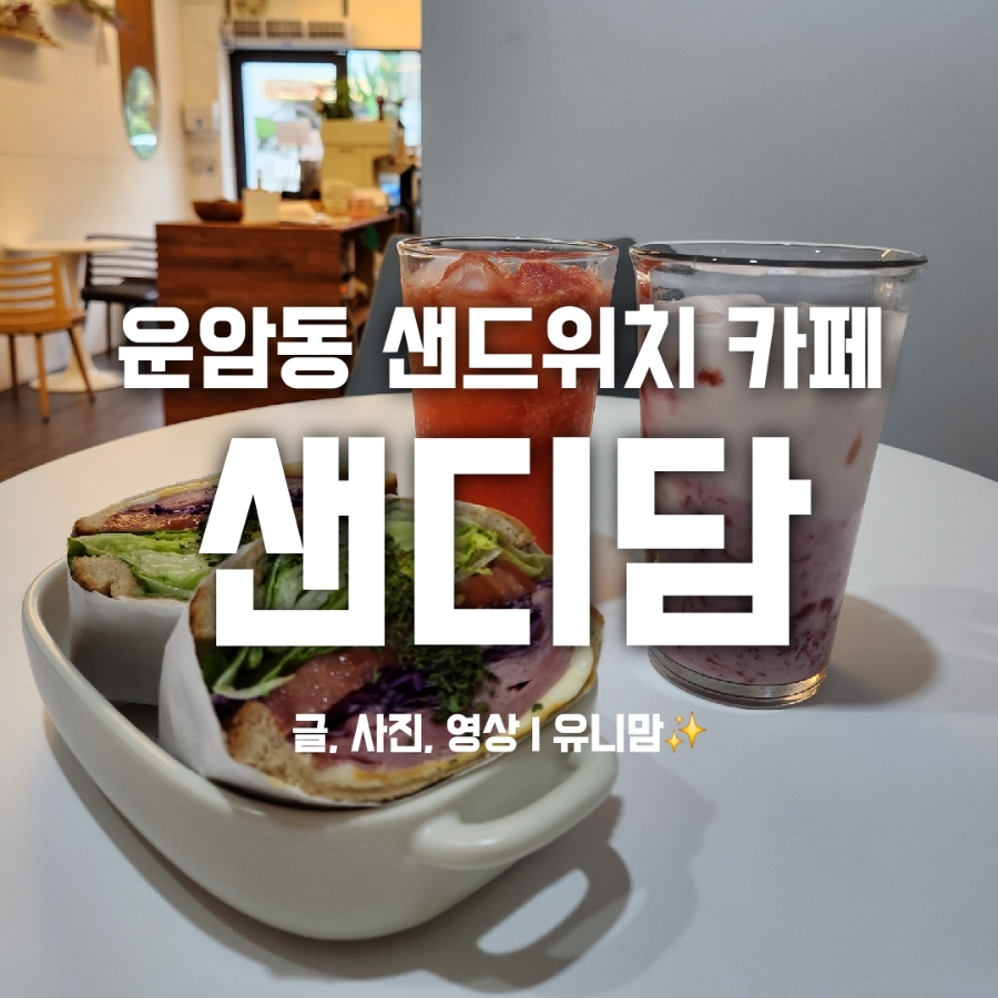 샌디담 이미지