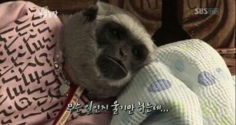 (주)이야기 이미지