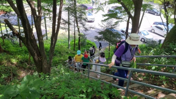 무등산편백자연휴양림 이미지