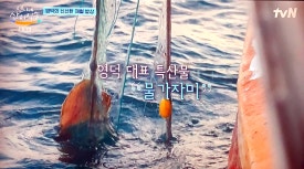 언니네축산 이미지