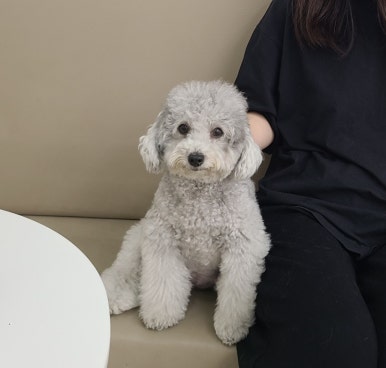 멍박스 이미지