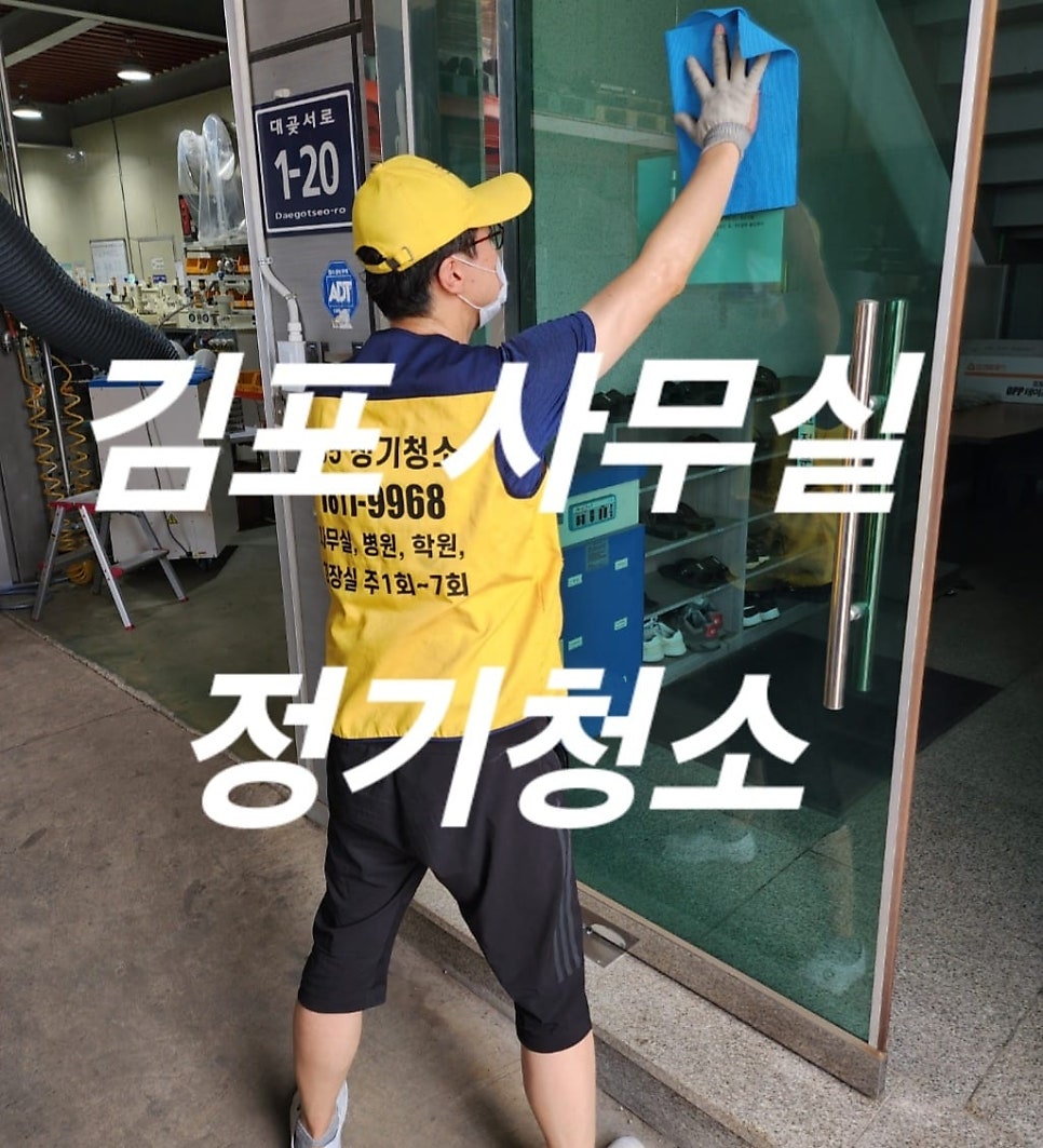 돌핀크린 이미지