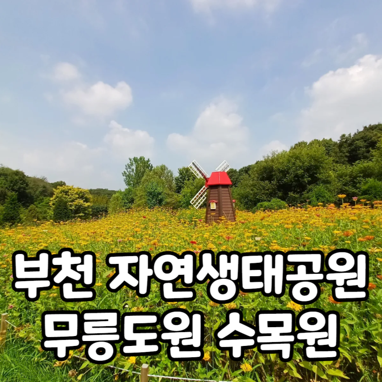 토리 상점 이미지