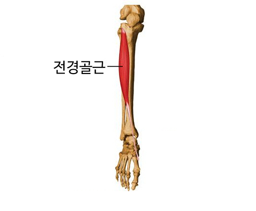 문짐 이미지