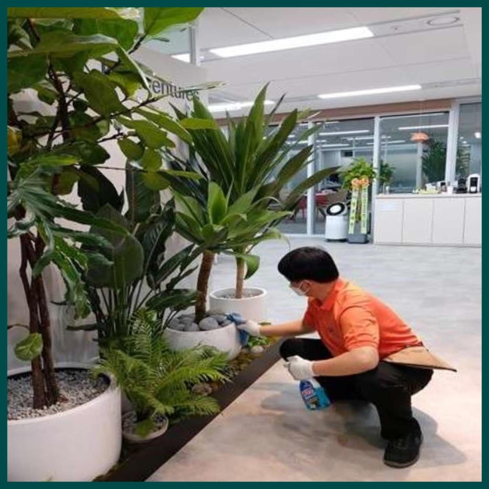 강남사무실청소 오렌지크린 이미지