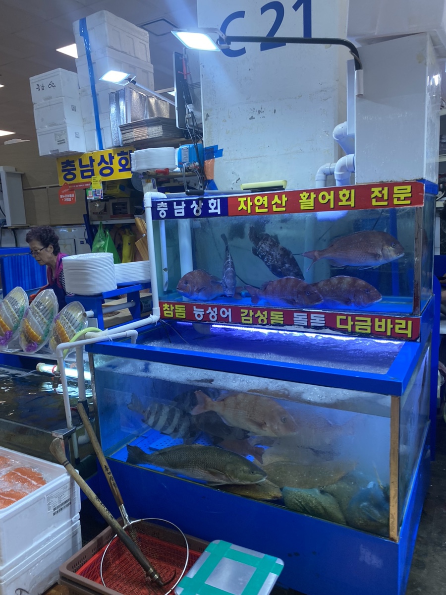 쩡수산 이미지