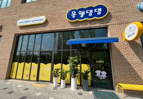 몽쉘댕댕 이미지