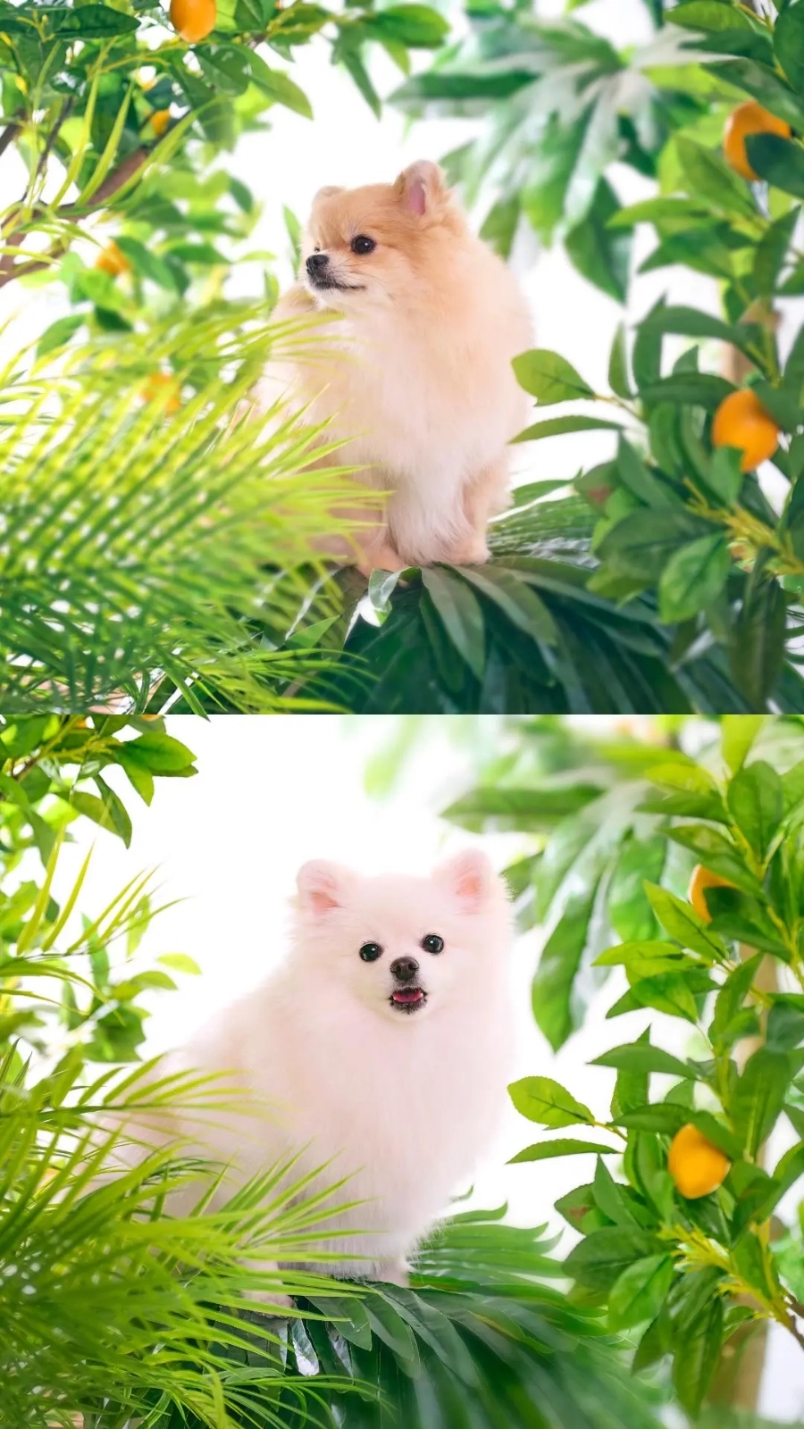 잇츠자재 이미지