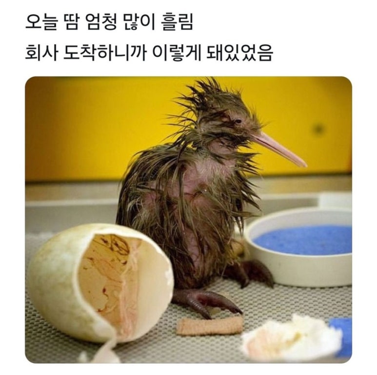 S투어 이미지