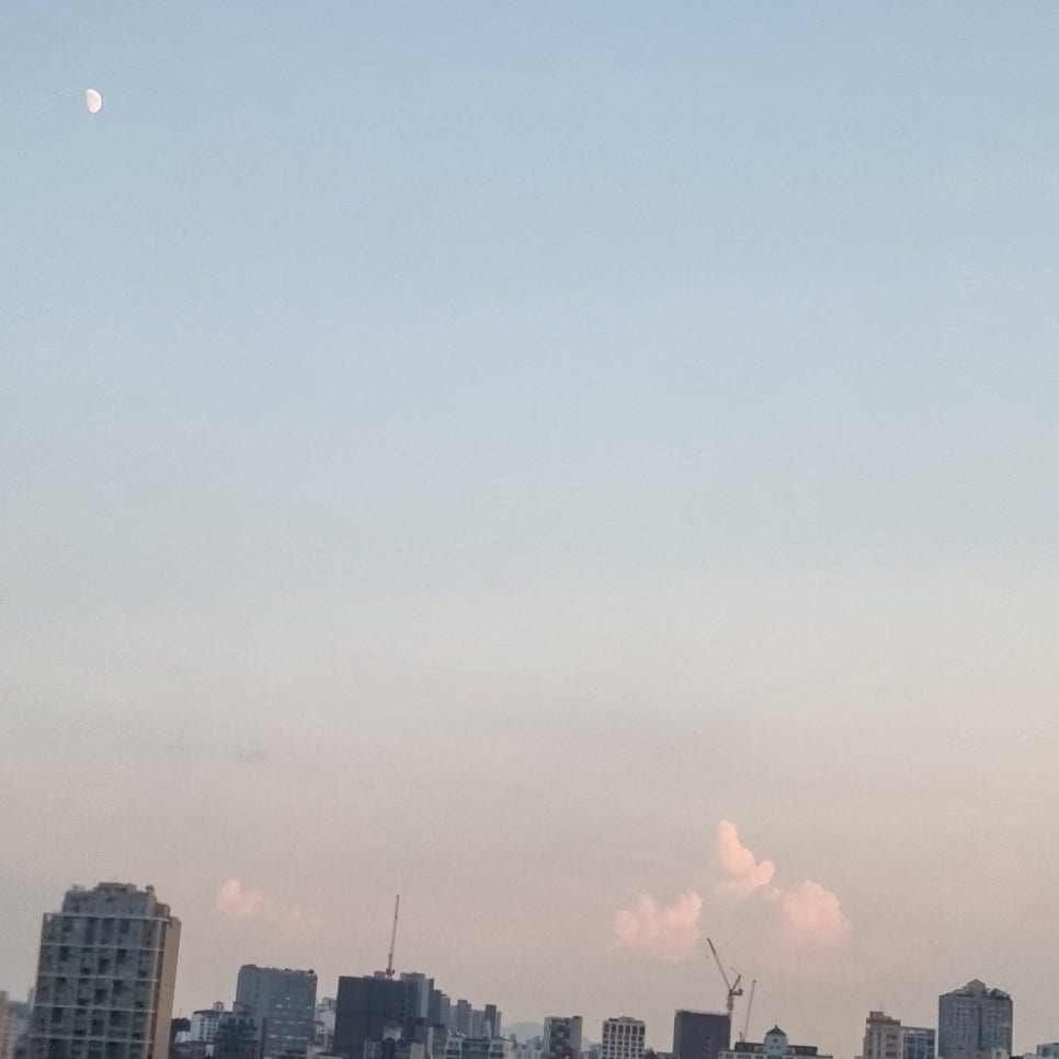 연세푸른치과 이미지