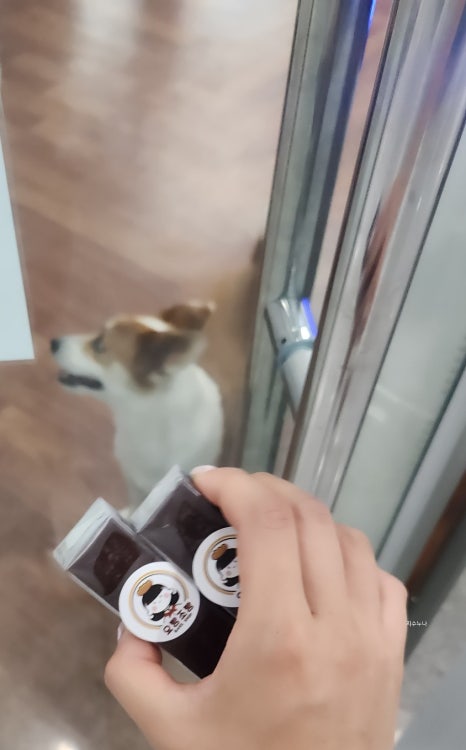 요빵조빵 이미지