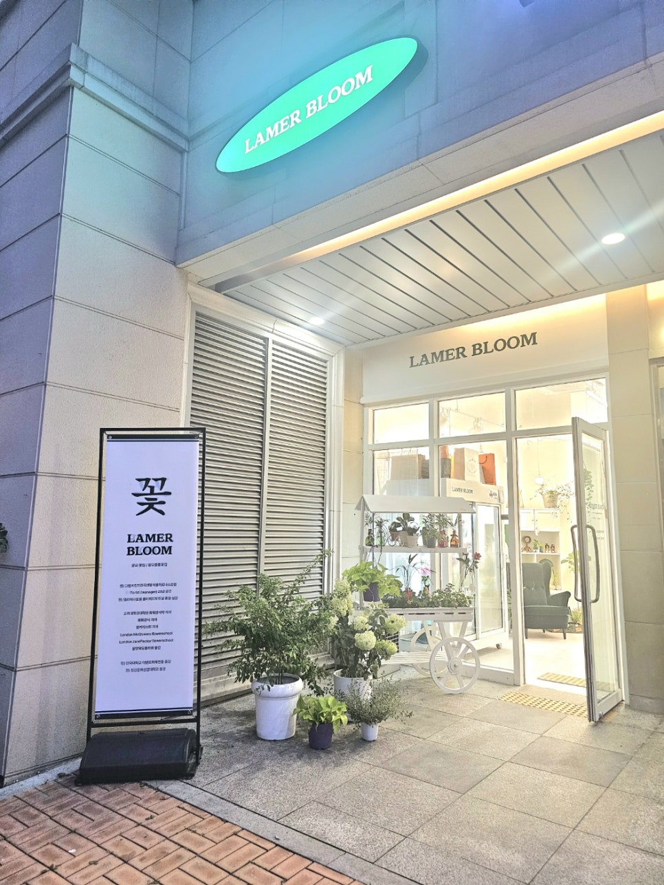 라메르블룸 이미지