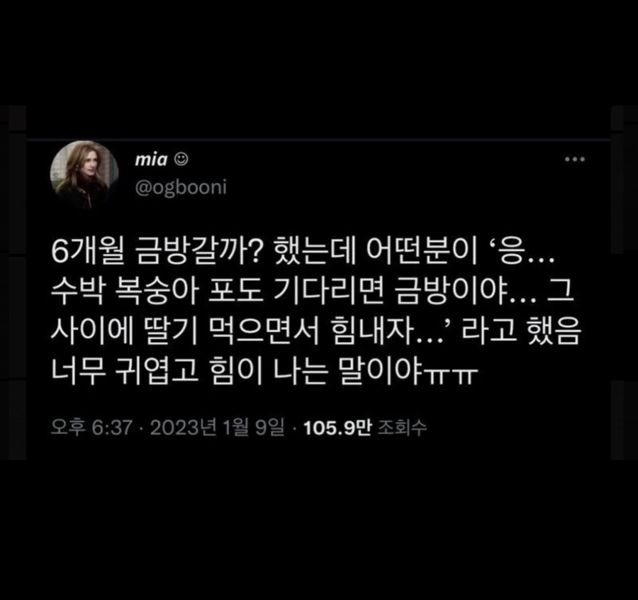 그료캘리그라피 이미지