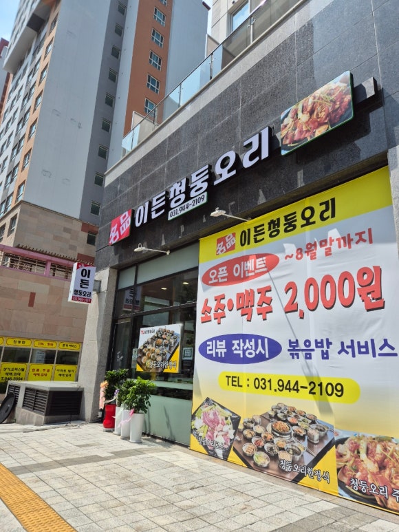 이든청둥오리 이미지