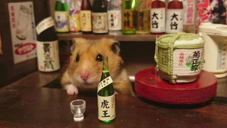 바야바야 이미지