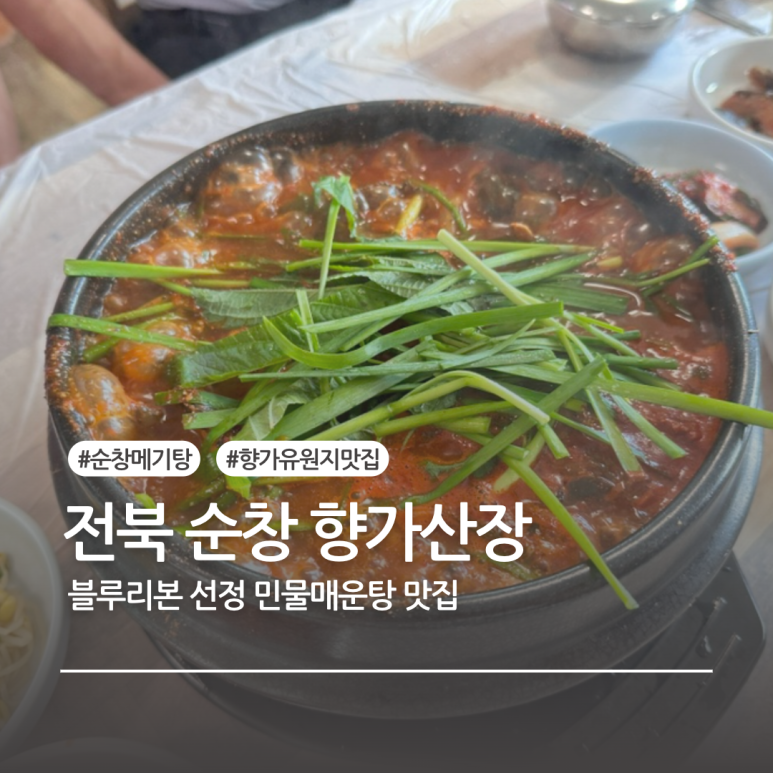 섬진강향가수상레저 이미지