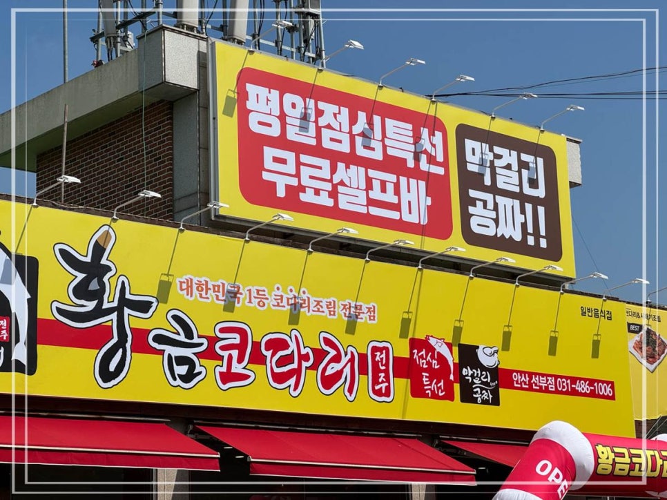 황금코다리안산 이미지