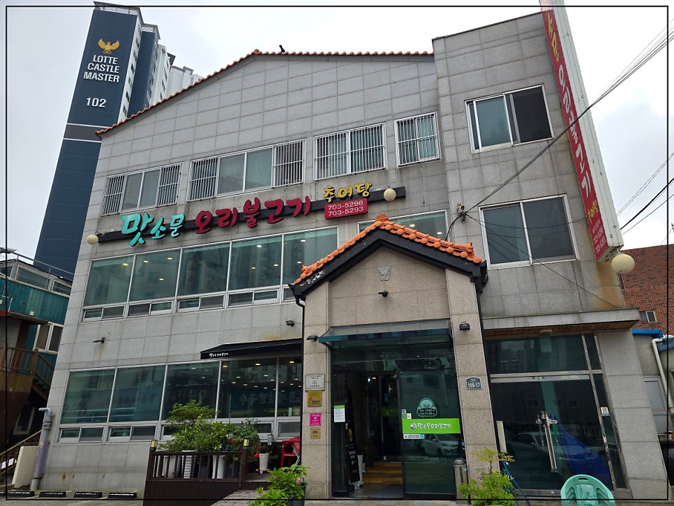 다 오리 이미지