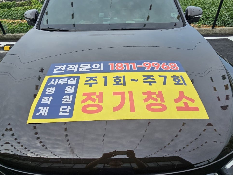 돌핀크린 이미지