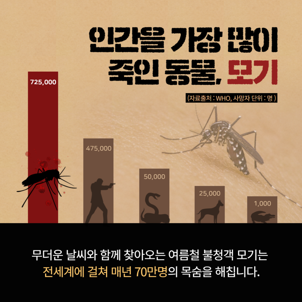 여름철 필수템! 노바리빙 LED 모기퇴치기 NV10 '모기와 해충을 한 번에 해결' 이미지 3