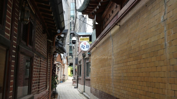 명참치 사진 3
