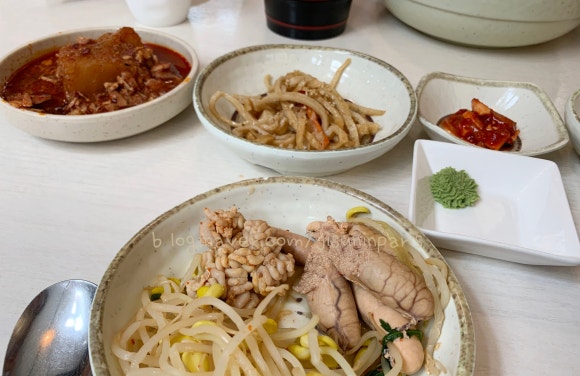 명참치 사진 2