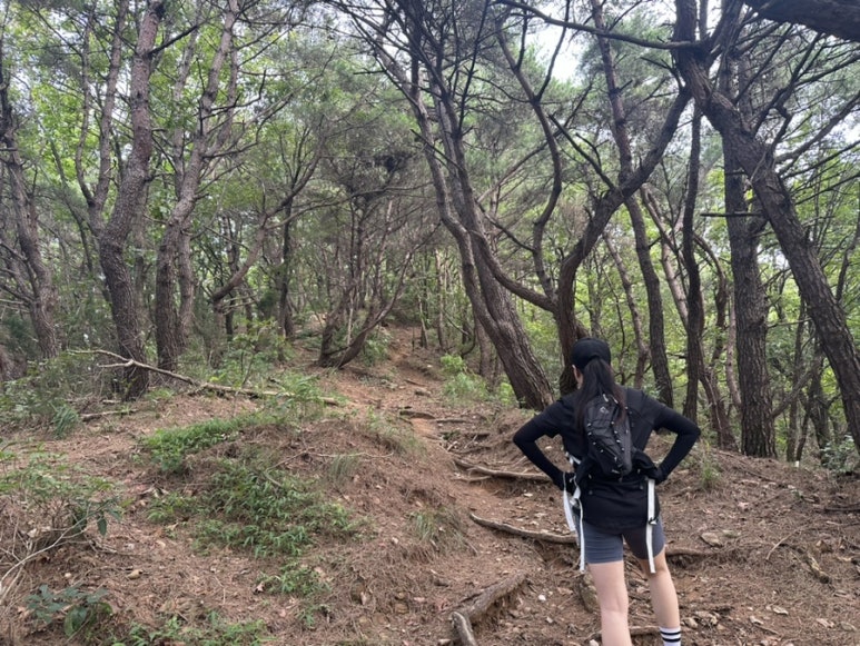 노고산의 바위들 이미지