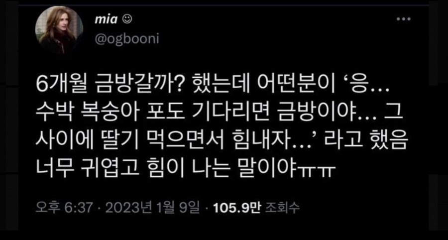 대감집 이미지