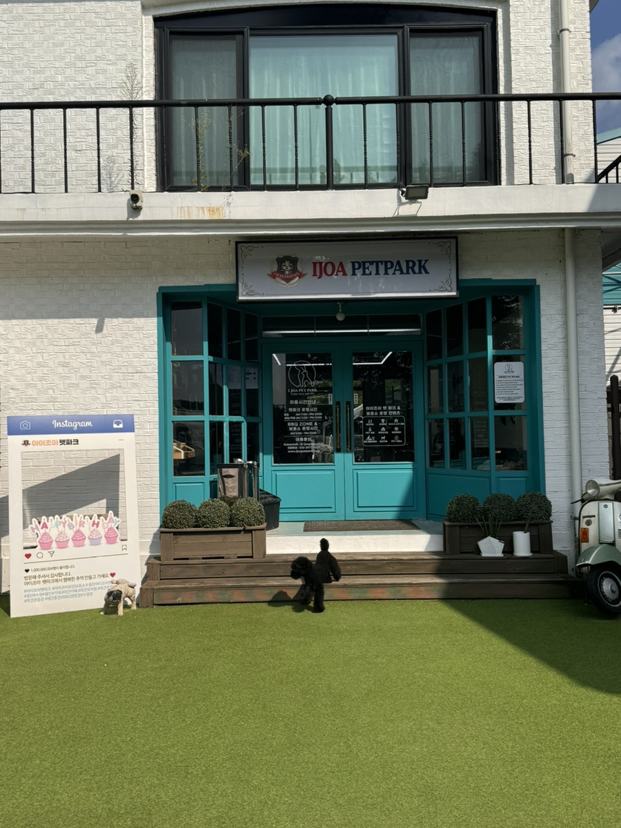 동탄 아이조아펫파크: 대형견 수영장+잔디 놀이터 후기