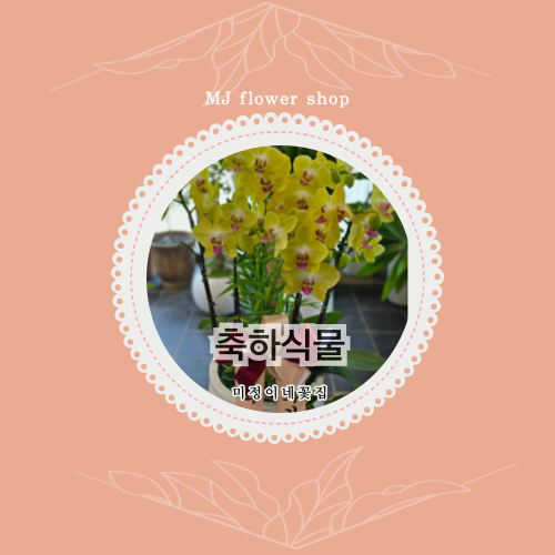 미정이네꽃집 이미지