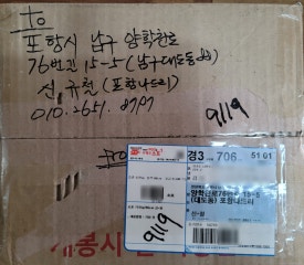 으뜸수선 이미지