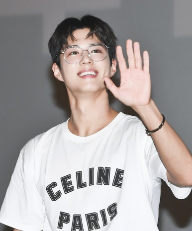 바닐리 이미지